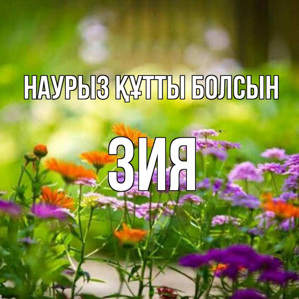 Күн сайын ашық хат с именем, ЗИЯ Наурыз құтты болсын цветы Онлайн тегін жүктеп алу тілектері бар керемет карта 