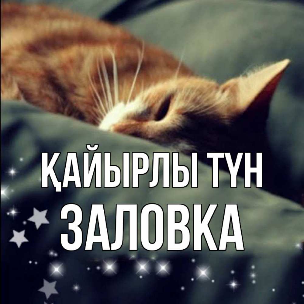 Күн сайын ашық хат с именем, Заловка Қайырлы түн кроватка Онлайн тегін жүктеп алу тілектері бар керемет карта 