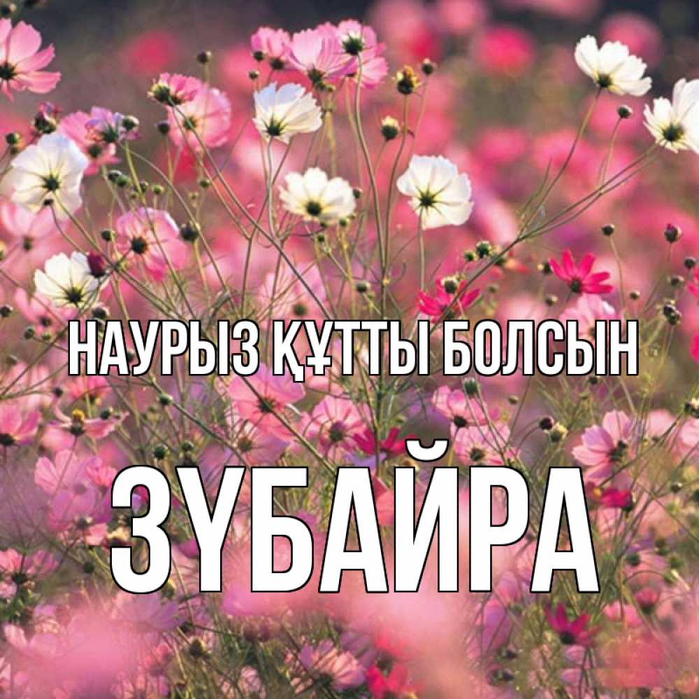 Күн сайын ашық хат с именем, ЗҮБАЙРА Наурыз құтты болсын красиво 1 Онлайн тегін жүктеп алу тілектері бар керемет карта 