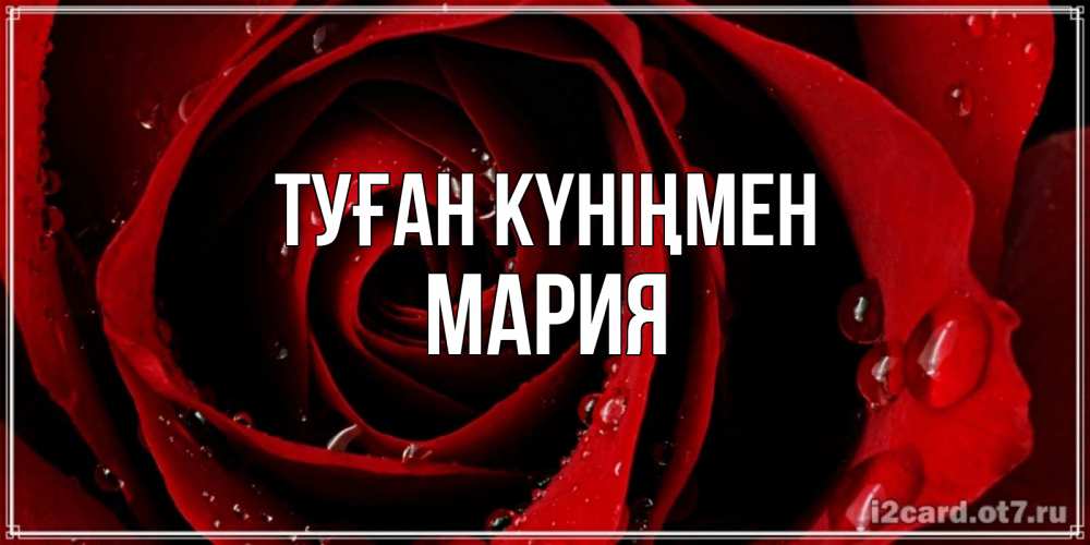 Күн сайын ашық хат с именем, МАРИЯ Туған күніңмен крупная бордовая роза Онлайн тегін жүктеп алу тілектері бар керемет карта 