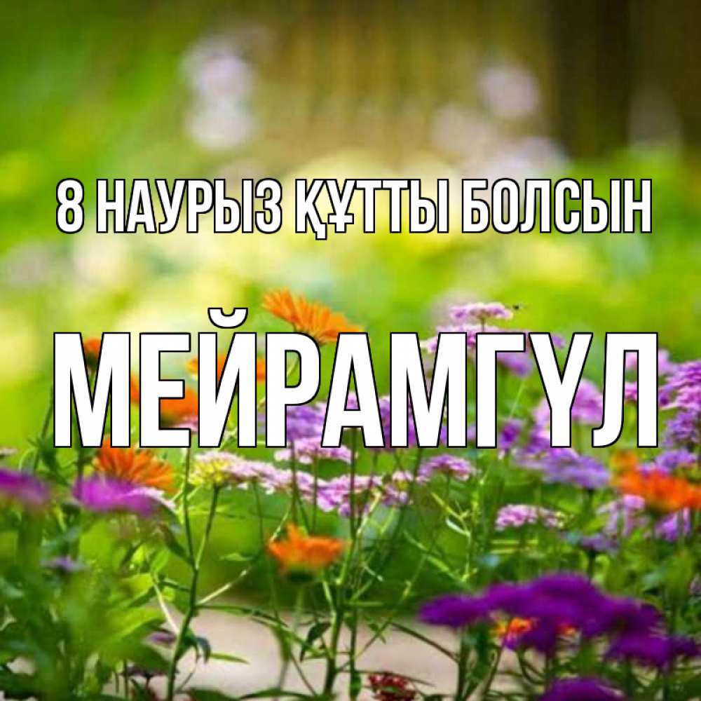 Күн сайын ашық хат с именем, МЕЙРАМГҮЛ 8 наурыз құтты болсын цветы Онлайн тегін жүктеп алу тілектері бар керемет карта 