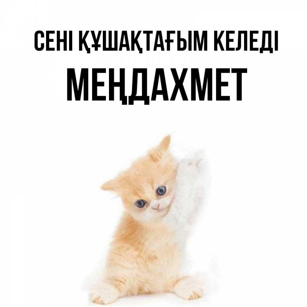 Күн сайын ашық хат с именем, МЕҢДАХМЕТ сені құшақтағым келеді я хочу очень скорее обнимаешек Онлайн тегін жүктеп алу тілектері бар керемет карта 