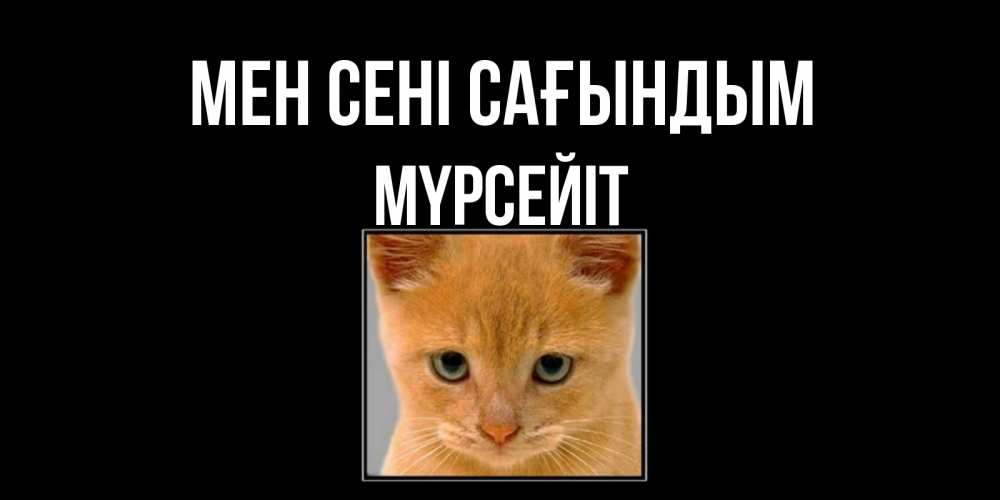Күн сайын ашық хат с именем, МҮРСЕЙІТ Мен сені сағындым открытки рыжий котенок скучает по тебе Онлайн тегін жүктеп алу тілектері бар керемет карта 