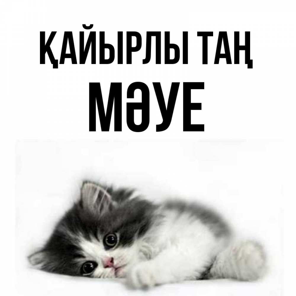 Күн сайын ашық хат с именем, МӘУЕ Қайырлы таң кот лапки Онлайн тегін жүктеп алу тілектері бар керемет карта 