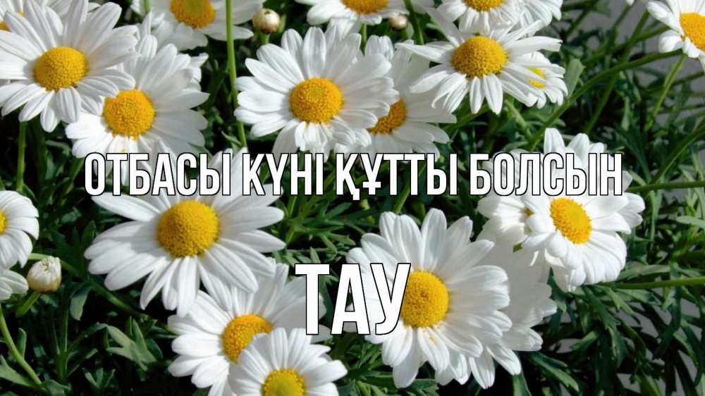 Күн сайын ашық хат с именем, ТАУ отбасы күні құтты болсын с днем семьи Онлайн тегін жүктеп алу тілектері бар керемет карта 