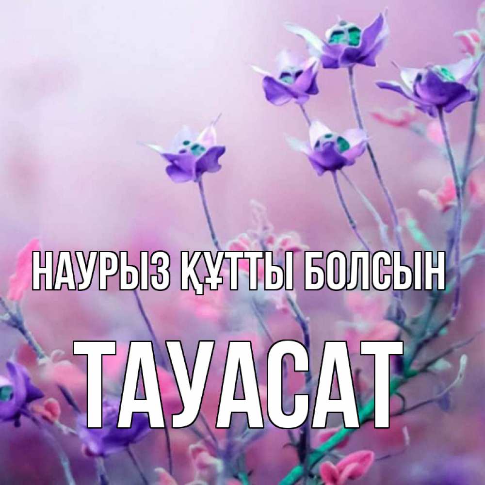Күн сайын ашық хат с именем, ТАУАСАТ Наурыз құтты болсын наурыз  2 Онлайн тегін жүктеп алу тілектері бар керемет карта 