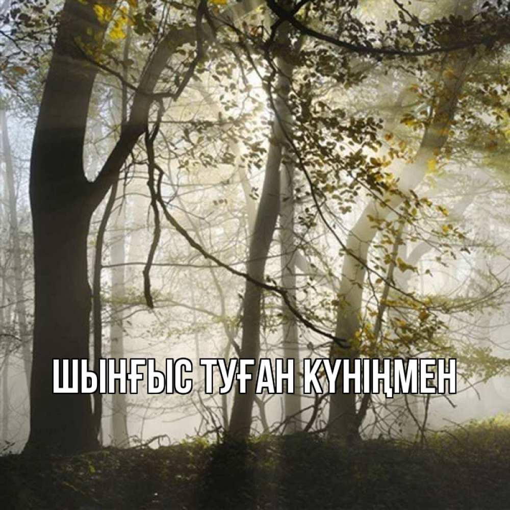 Картинка  с именем , ШЫНҒЫС! ТУҒАН КҮНІҢМЕН!