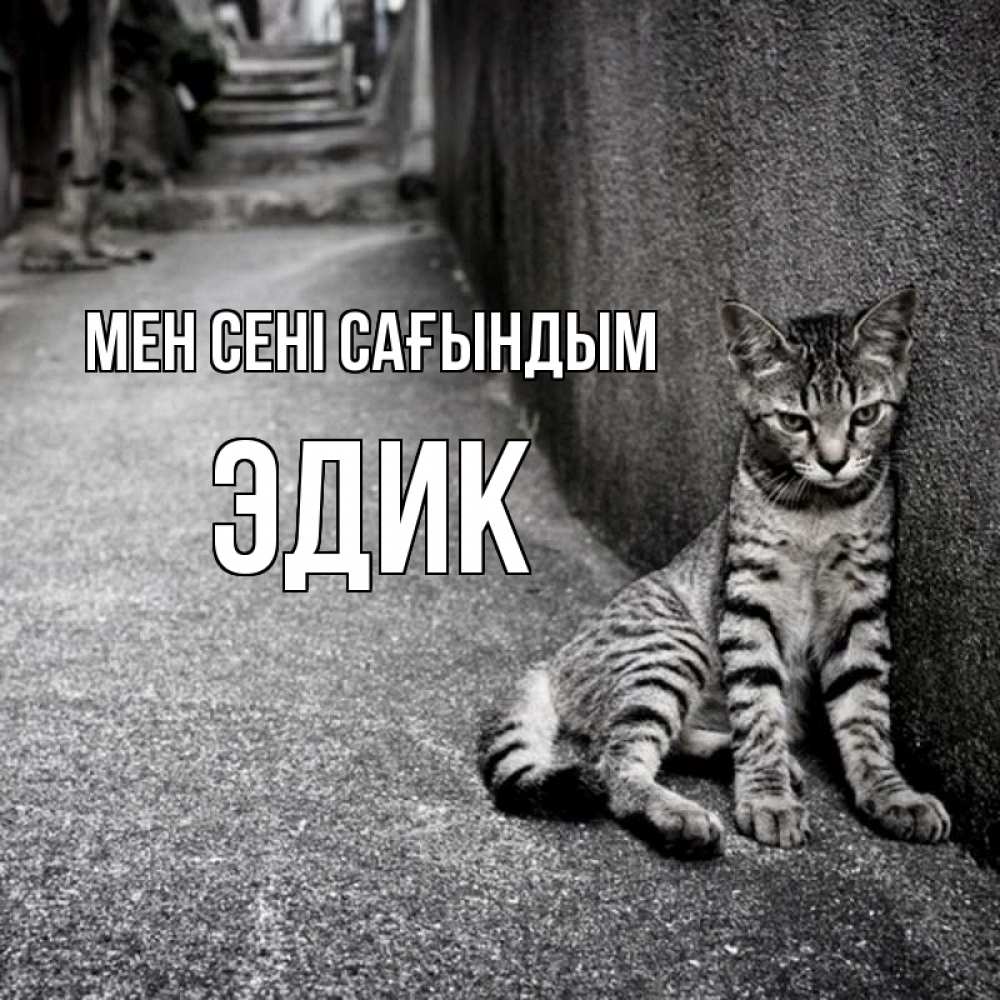 Күн сайын ашық хат с именем, Эдик Мен сені сағындым одиноко котику Онлайн тегін жүктеп алу тілектері бар керемет карта 