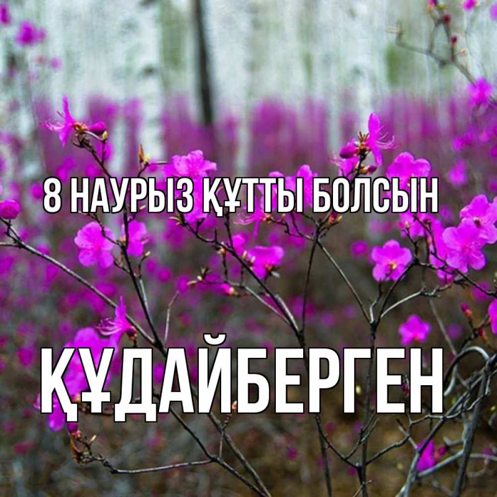 Күн сайын ашық хат с именем, ҚҰДАЙБЕРГЕН 8 наурыз құтты болсын дикие цветы Онлайн тегін жүктеп алу тілектері бар керемет карта 