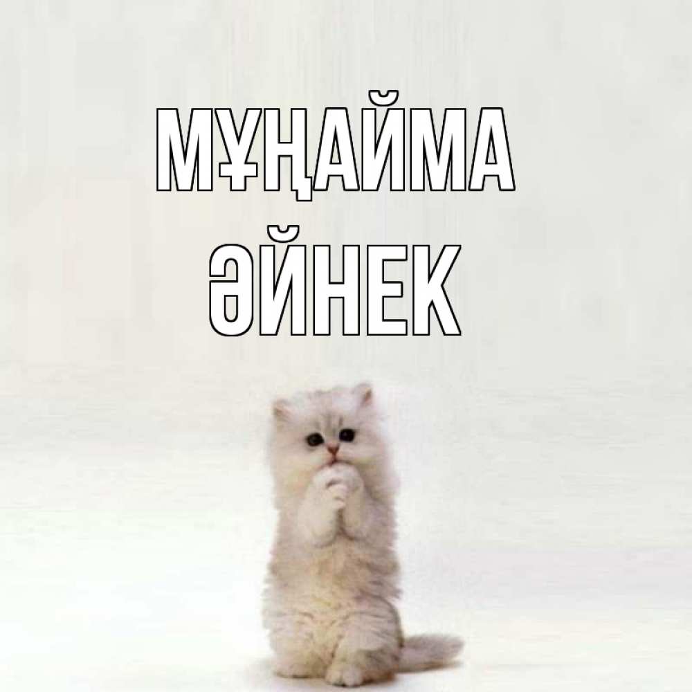 Күн сайын ашық хат с именем, ӘЙНЕК Мұңайма грустный кот Онлайн тегін жүктеп алу тілектері бар керемет карта 