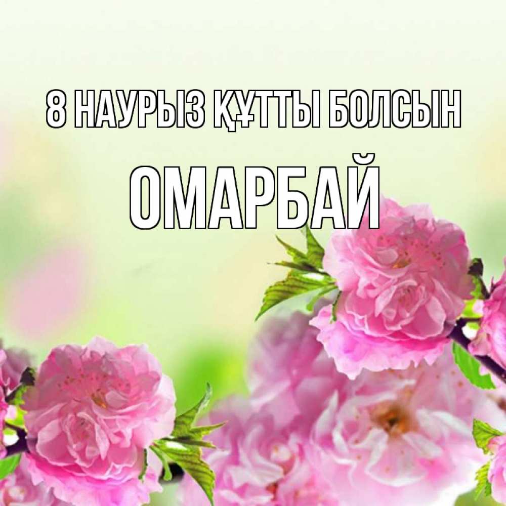 Күн сайын ашық хат с именем, ОМАРБАЙ 8 наурыз құтты болсын цветы Онлайн тегін жүктеп алу тілектері бар керемет карта 