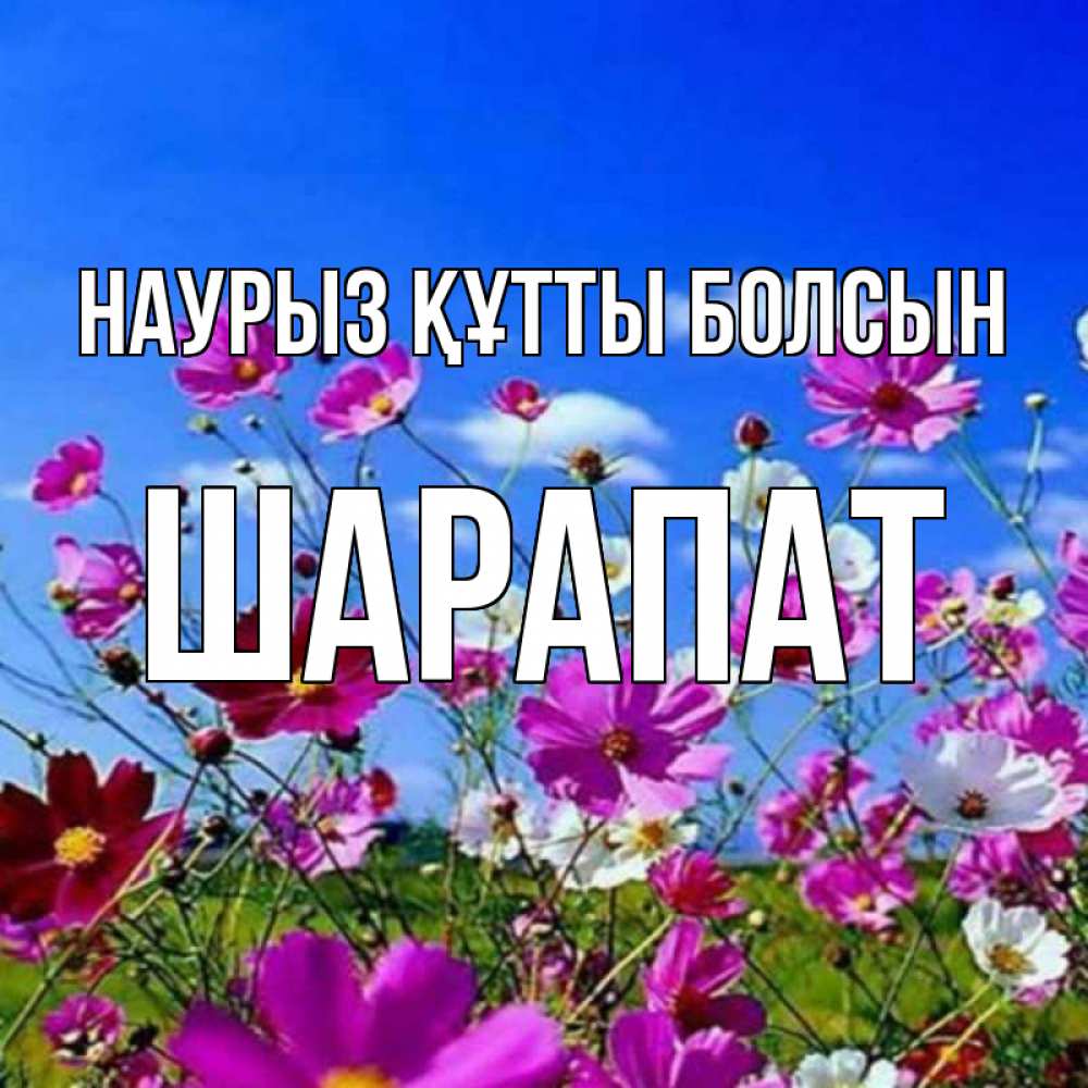 Күн сайын ашық хат с именем, ШАРАПАТ Наурыз құтты болсын цветы Онлайн тегін жүктеп алу тілектері бар керемет карта 