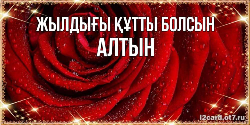 Күн сайын ашық хат с именем, АЛТЫН Жылдығы құтты болсын роса на розе блестящая в лучах солнца Онлайн тегін жүктеп алу тілектері бар керемет карта 