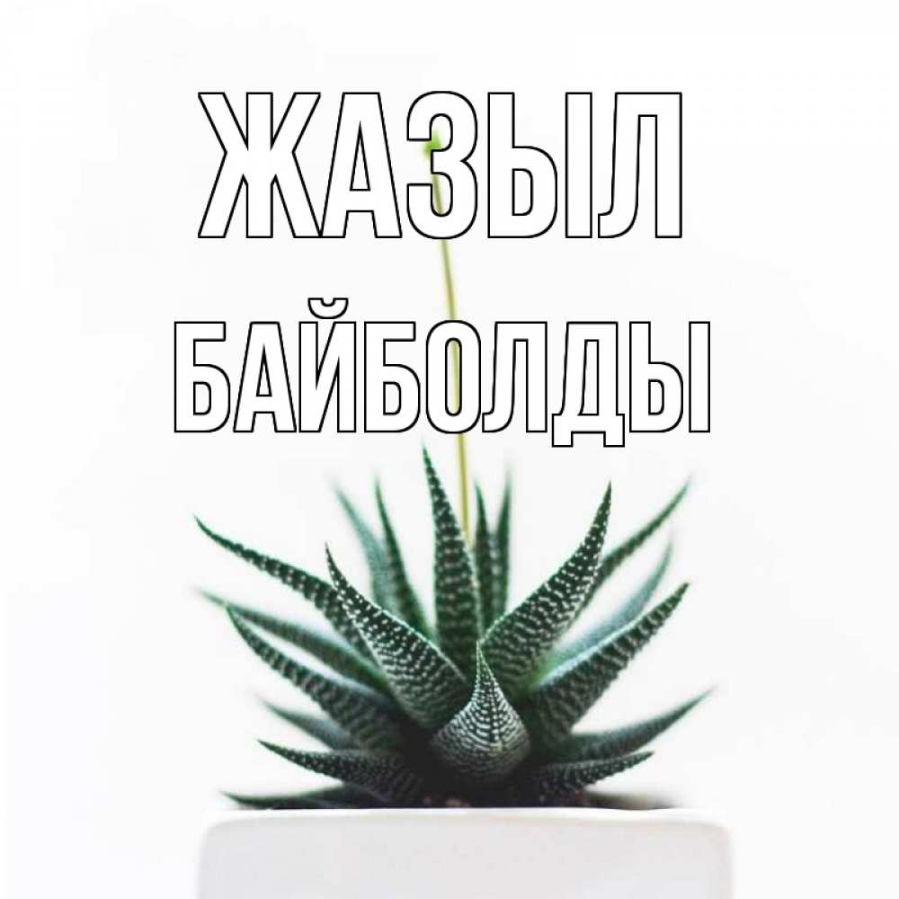 Күн сайын ашық хат с именем, Байболды Жазыл короче это непонятная колючка Онлайн тегін жүктеп алу тілектері бар керемет карта 