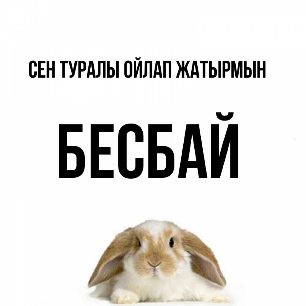 Күн сайын ашық хат с именем, Бесбай Сен туралы ойлап жатырмын подписать своими руками онлайн Онлайн тегін жүктеп алу тілектері бар керемет карта 