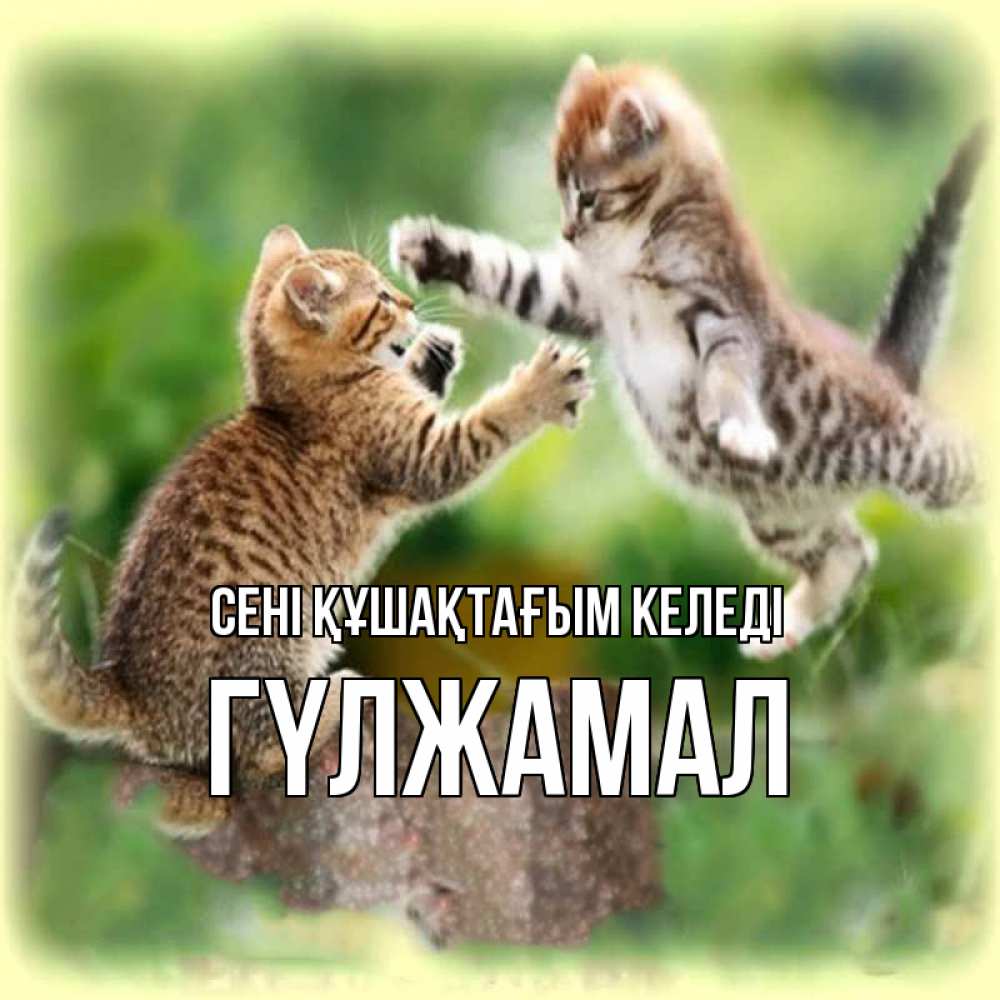 Күн сайын ашық хат с именем, ГҮЛЖАМАЛ сені құшақтағым келеді игры котят Онлайн тегін жүктеп алу тілектері бар керемет карта 