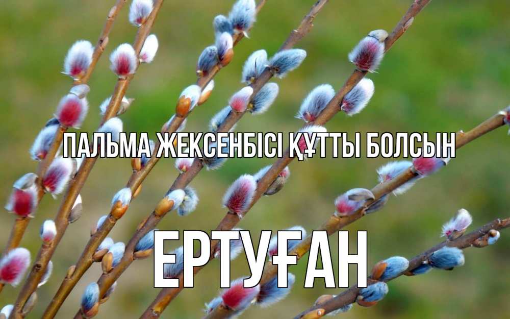 Күн сайын ашық хат с именем, Ертуған Пальма жексенбісі құтты болсын верба Онлайн тегін жүктеп алу тілектері бар керемет карта 