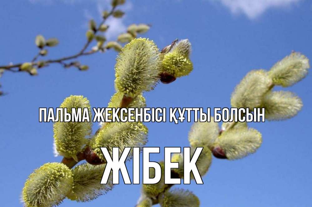 Күн сайын ашық хат с именем, ЖІБЕК Пальма жексенбісі құтты болсын верба Онлайн тегін жүктеп алу тілектері бар керемет карта 