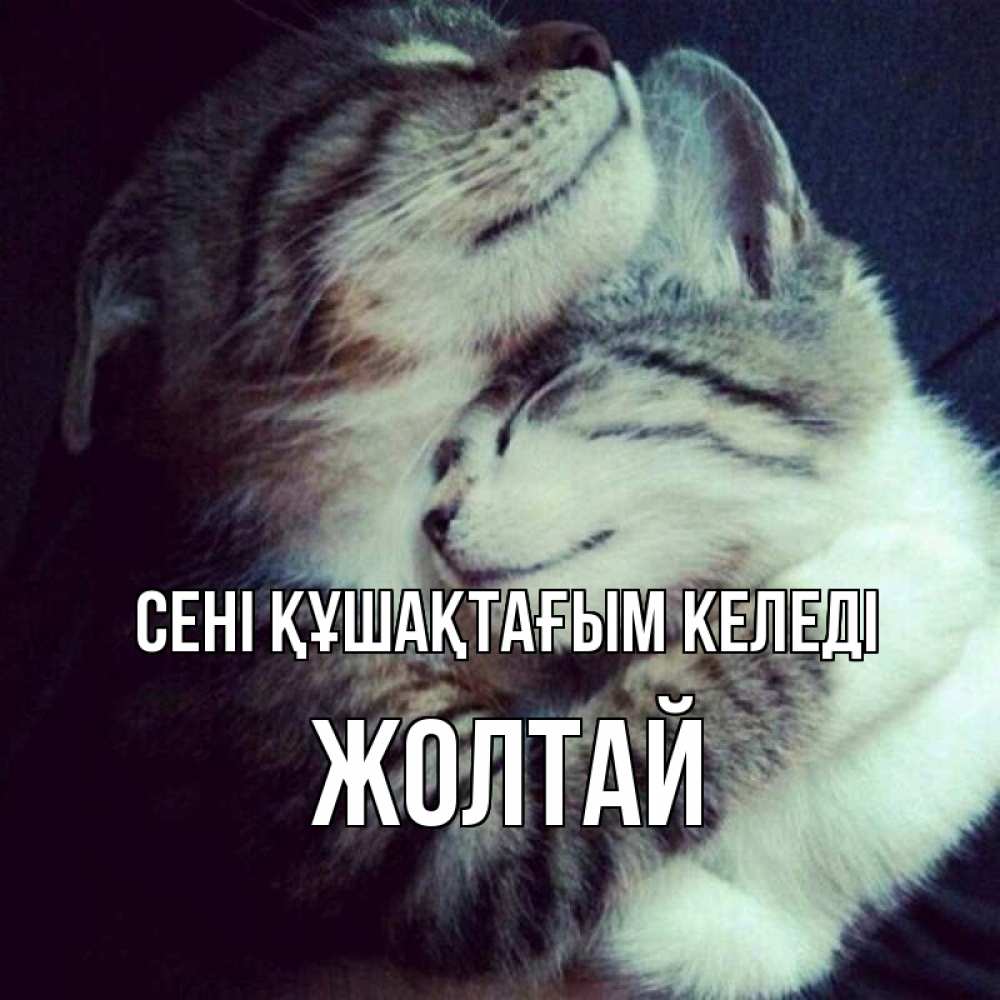 Күн сайын ашық хат с именем, Жолтай сені құшақтағым келеді полосатики Онлайн тегін жүктеп алу тілектері бар керемет карта 