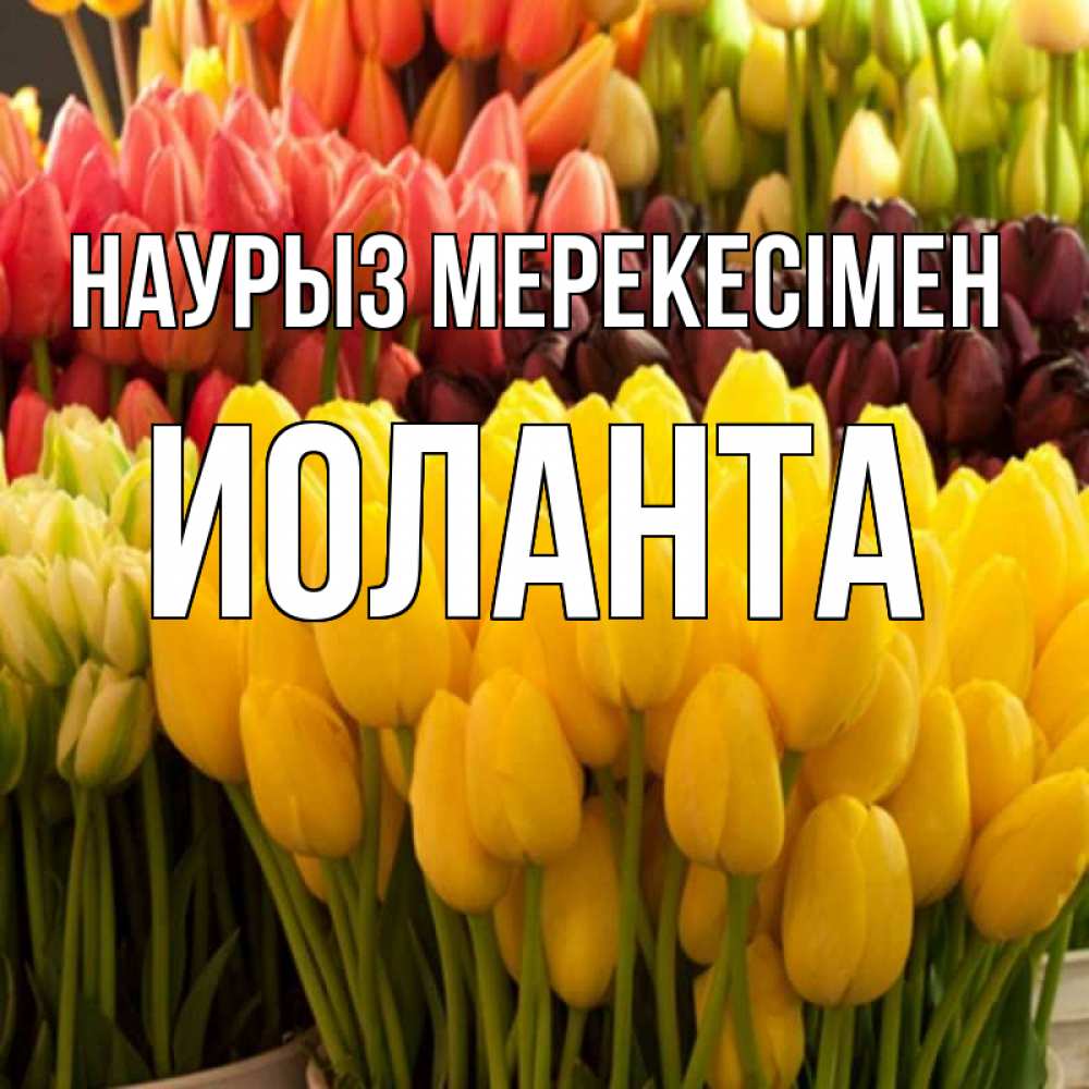 Күн сайын ашық хат с именем, Иоланта Наурыз мерекесімен цветы Онлайн тегін жүктеп алу тілектері бар керемет карта 