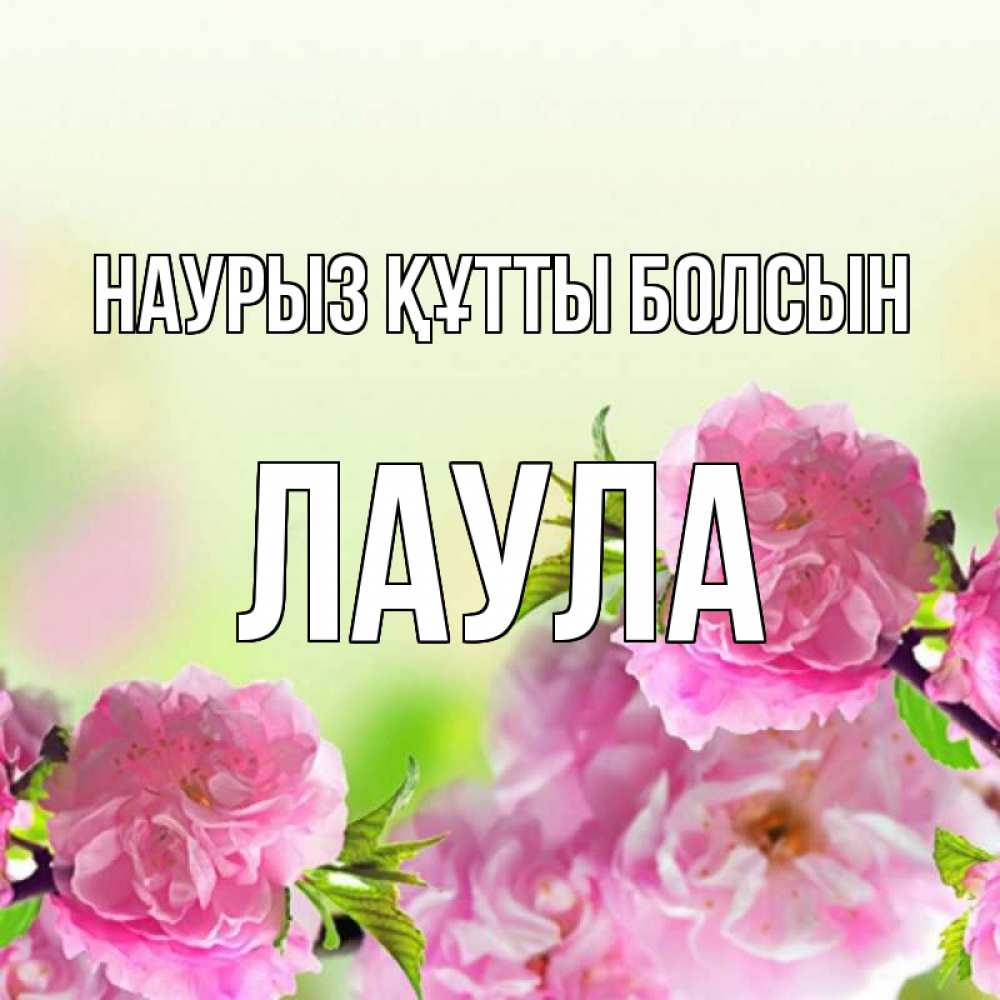 Күн сайын ашық хат с именем, ЛАУЛА Наурыз құтты болсын цветы Онлайн тегін жүктеп алу тілектері бар керемет карта 