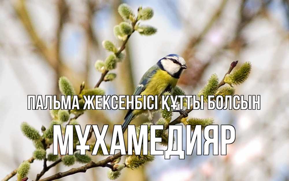 Күн сайын ашық хат с именем, МҰХАМЕДИЯР Пальма жексенбісі құтты болсын верба Онлайн тегін жүктеп алу тілектері бар керемет карта 