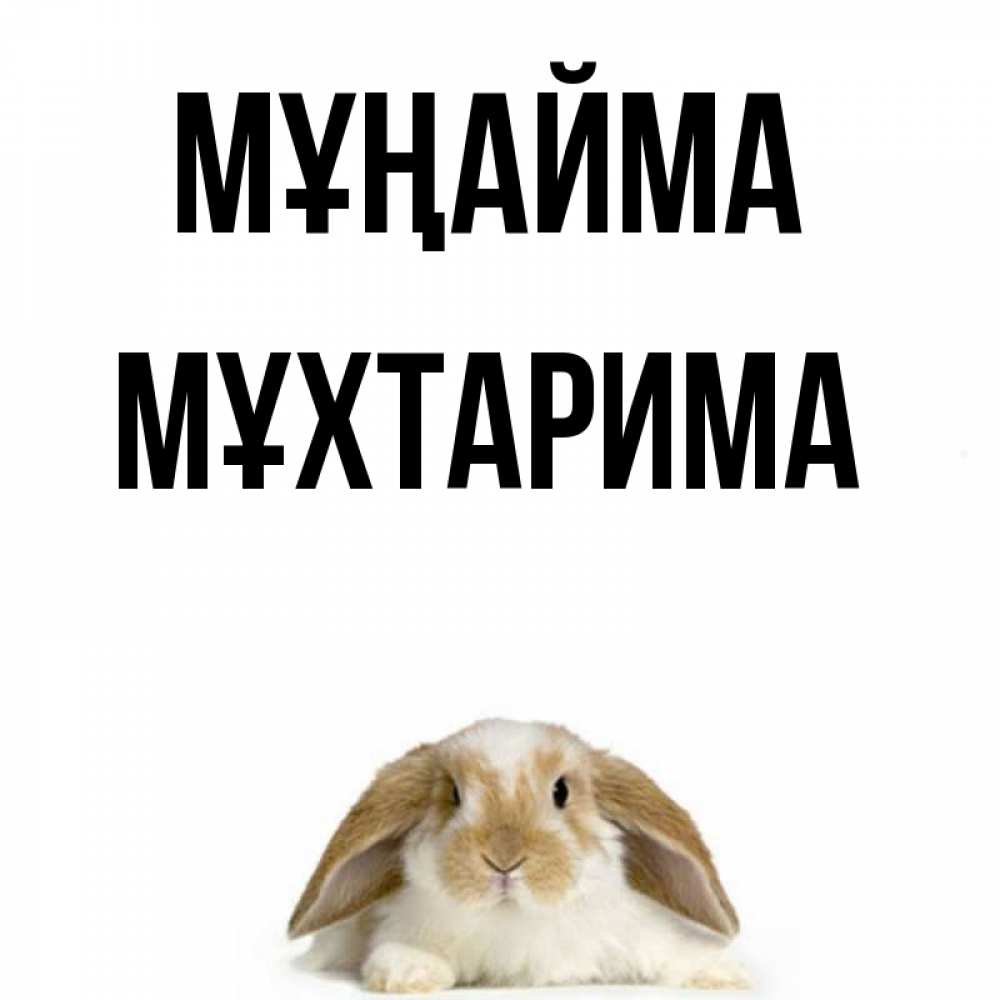 Күн сайын ашық хат с именем, МҰХТАРИМА Мұңайма коричнево белый заяц с большими ушками Онлайн тегін жүктеп алу тілектері бар керемет карта 