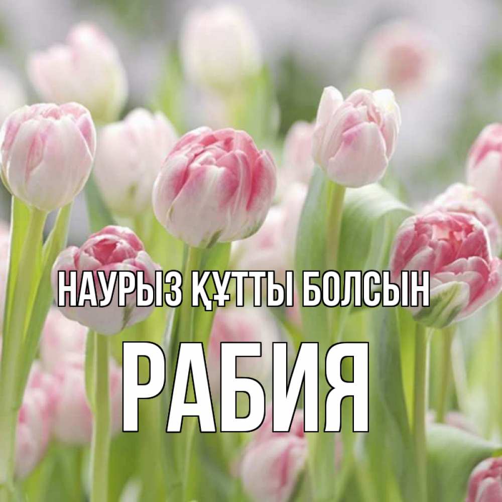 Күн сайын ашық хат с именем, РАБИЯ Наурыз құтты болсын цветы Онлайн тегін жүктеп алу тілектері бар керемет карта 