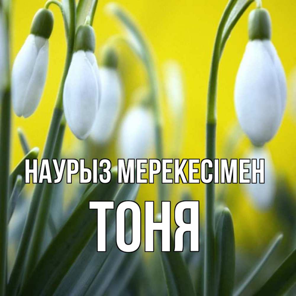 Күн сайын ашық хат с именем, Тоня Наурыз мерекесімен весенние цветы Онлайн тегін жүктеп алу тілектері бар керемет карта 