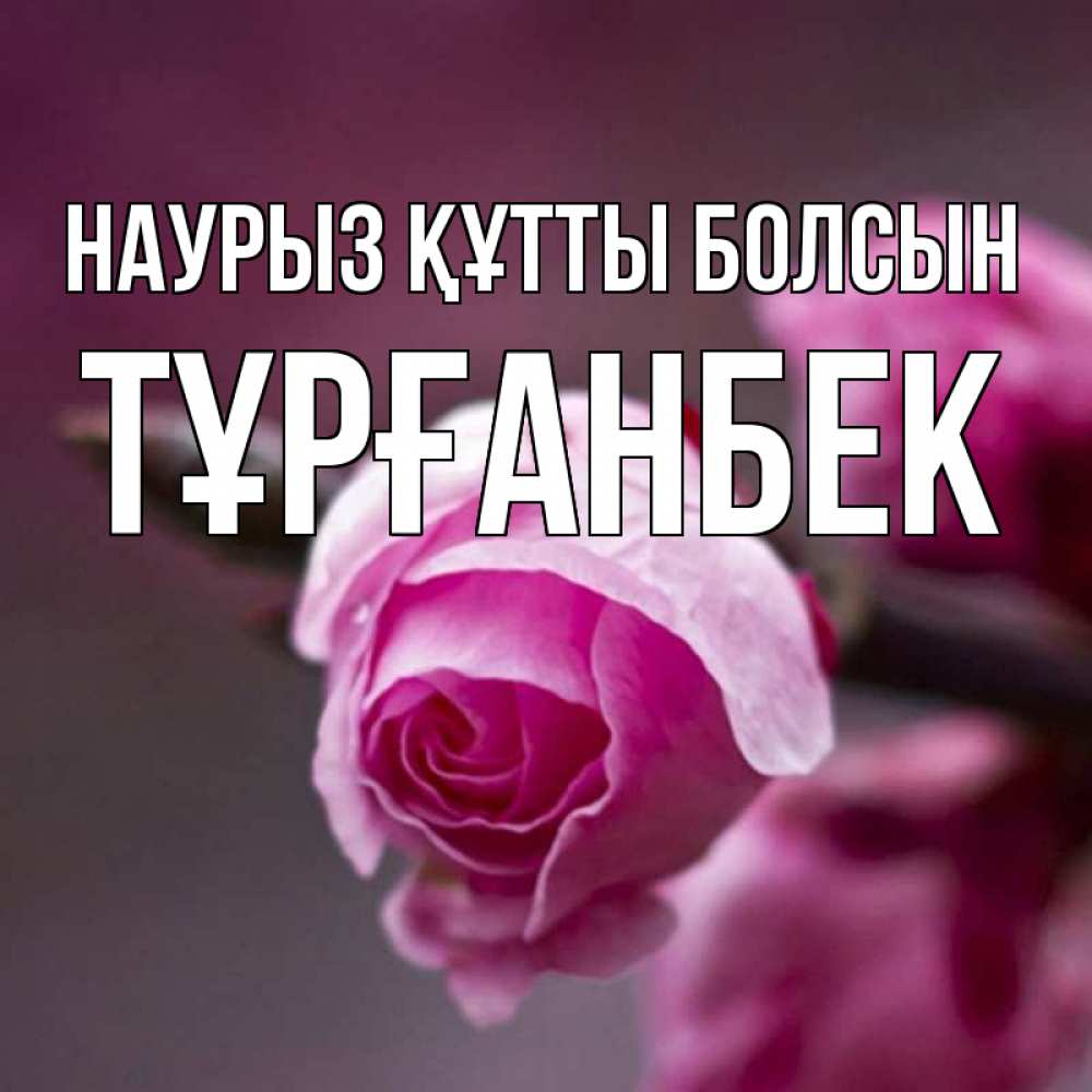 Күн сайын ашық хат с именем, ТҰРҒАНБЕК Наурыз құтты болсын весна Онлайн тегін жүктеп алу тілектері бар керемет карта 