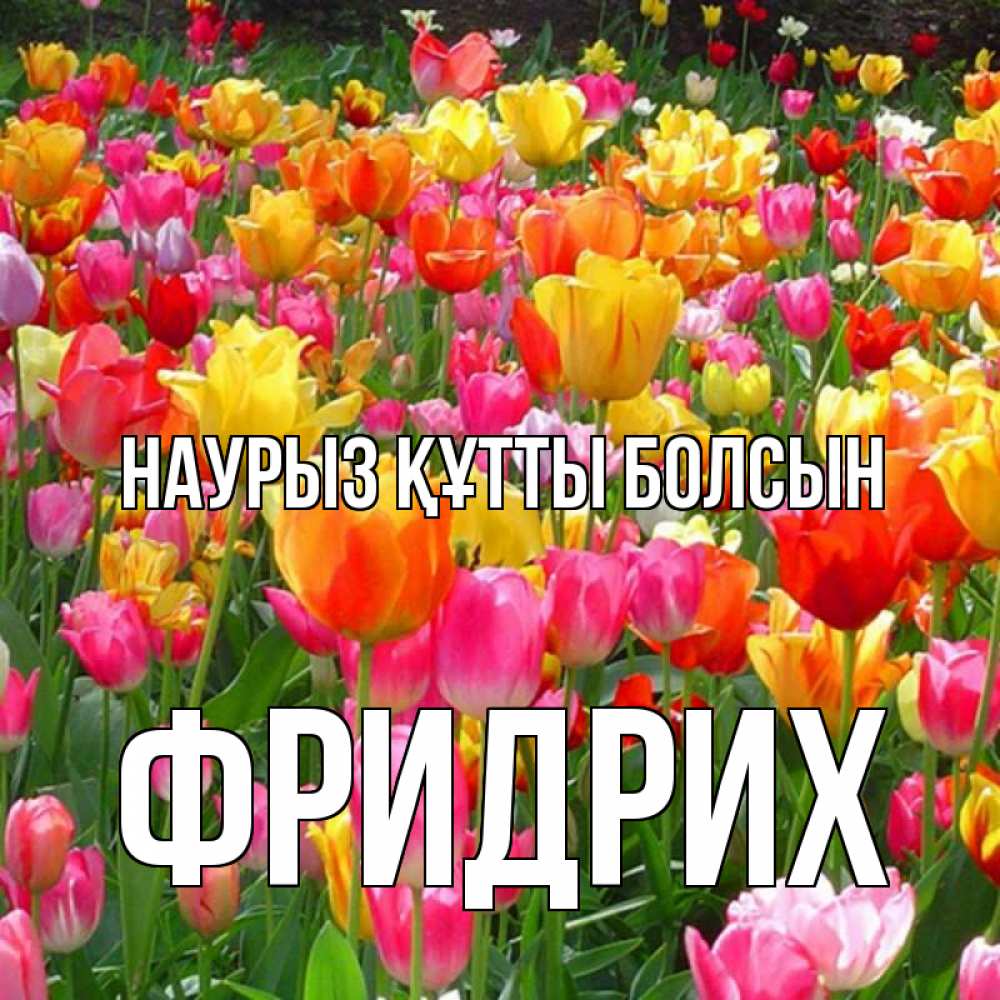 Күн сайын ашық хат с именем, Фридрих Наурыз құтты болсын на наурыз  ура ура Онлайн тегін жүктеп алу тілектері бар керемет карта 