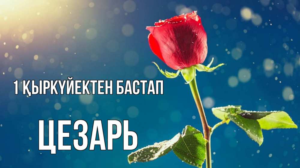 Күн сайын ашық хат с именем, Цезарь 1 қыркүйектен бастап с днем знаний Онлайн тегін жүктеп алу тілектері бар керемет карта 