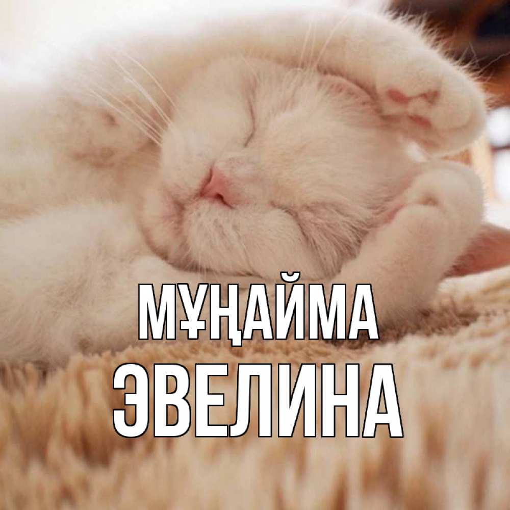 Күн сайын ашық хат с именем, Эвелина Мұңайма белый кот Онлайн тегін жүктеп алу тілектері бар керемет карта 