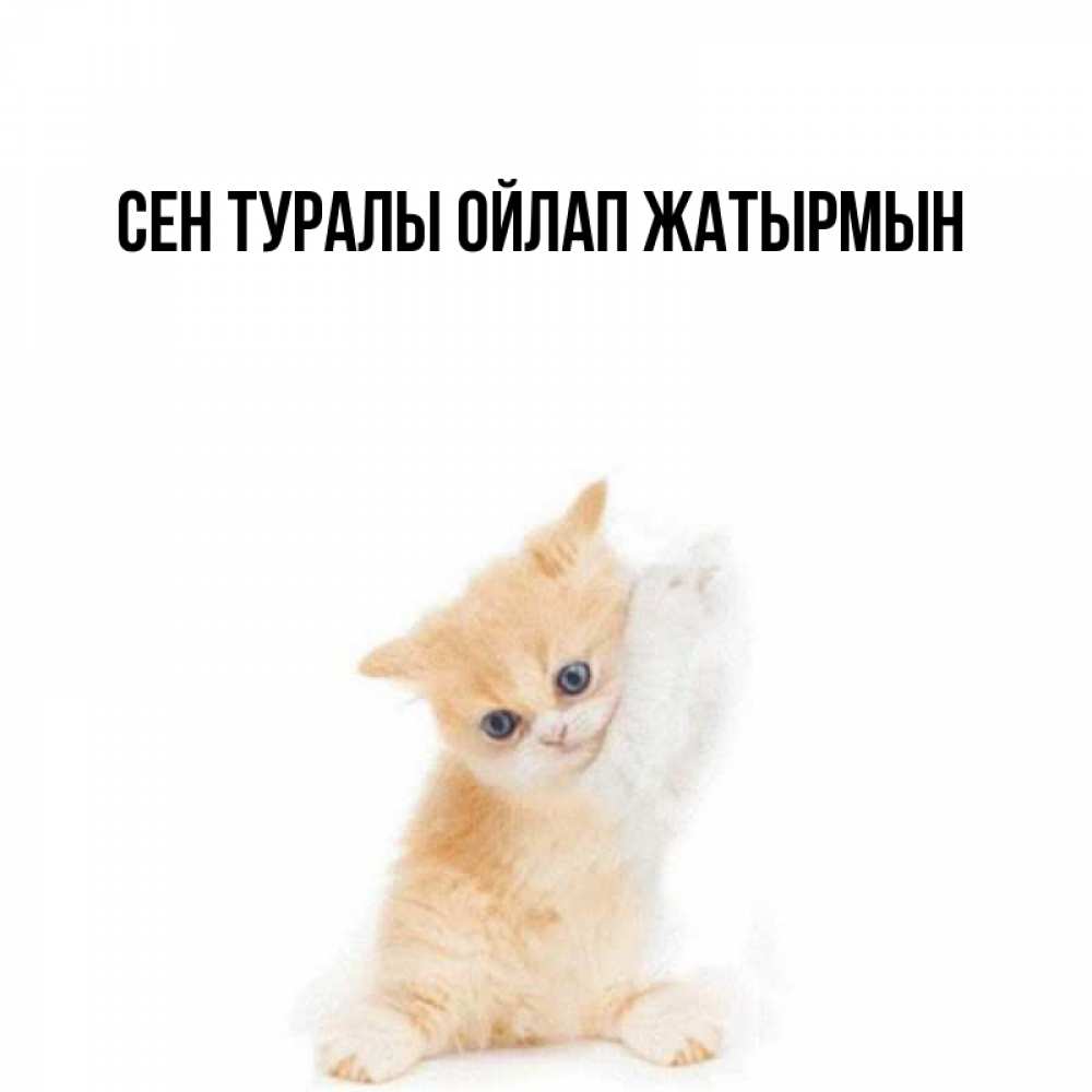 Күн сайын ашық хат с именем, выберите-имя Сен туралы ойлап жатырмын зверушки и милота Онлайн тегін жүктеп алу тілектері бар керемет карта 
