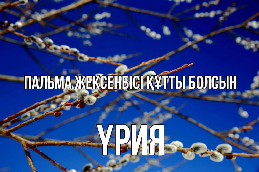 Күн сайын ашық хат с именем, ҮРИЯ Пальма жексенбісі құтты болсын верба Онлайн тегін жүктеп алу тілектері бар керемет карта 
