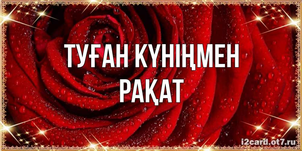 Күн сайын ашық хат с именем, РАҚАТ Туған күніңмен роса на розе блестящая в лучах солнца Онлайн тегін жүктеп алу тілектері бар керемет карта 