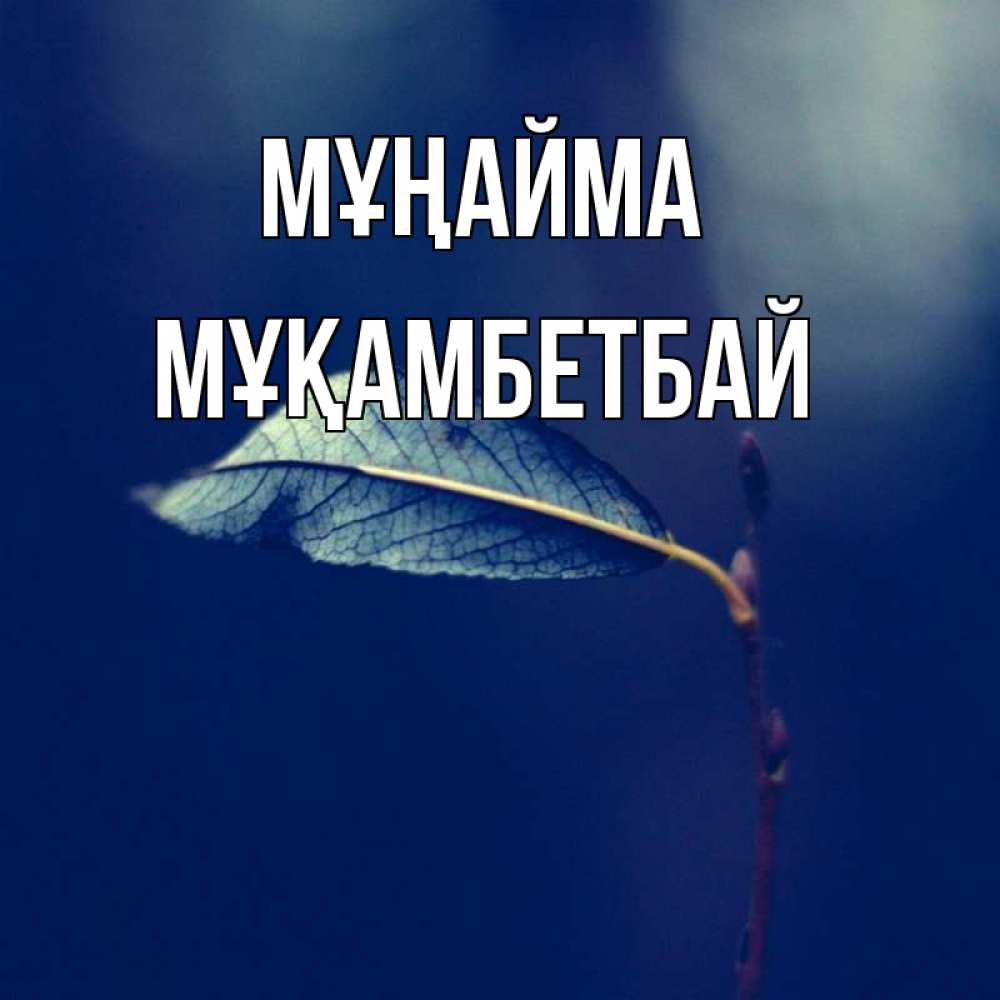 Күн сайын ашық хат с именем, Мұқамбетбай Мұңайма растение Онлайн тегін жүктеп алу тілектері бар керемет карта 
