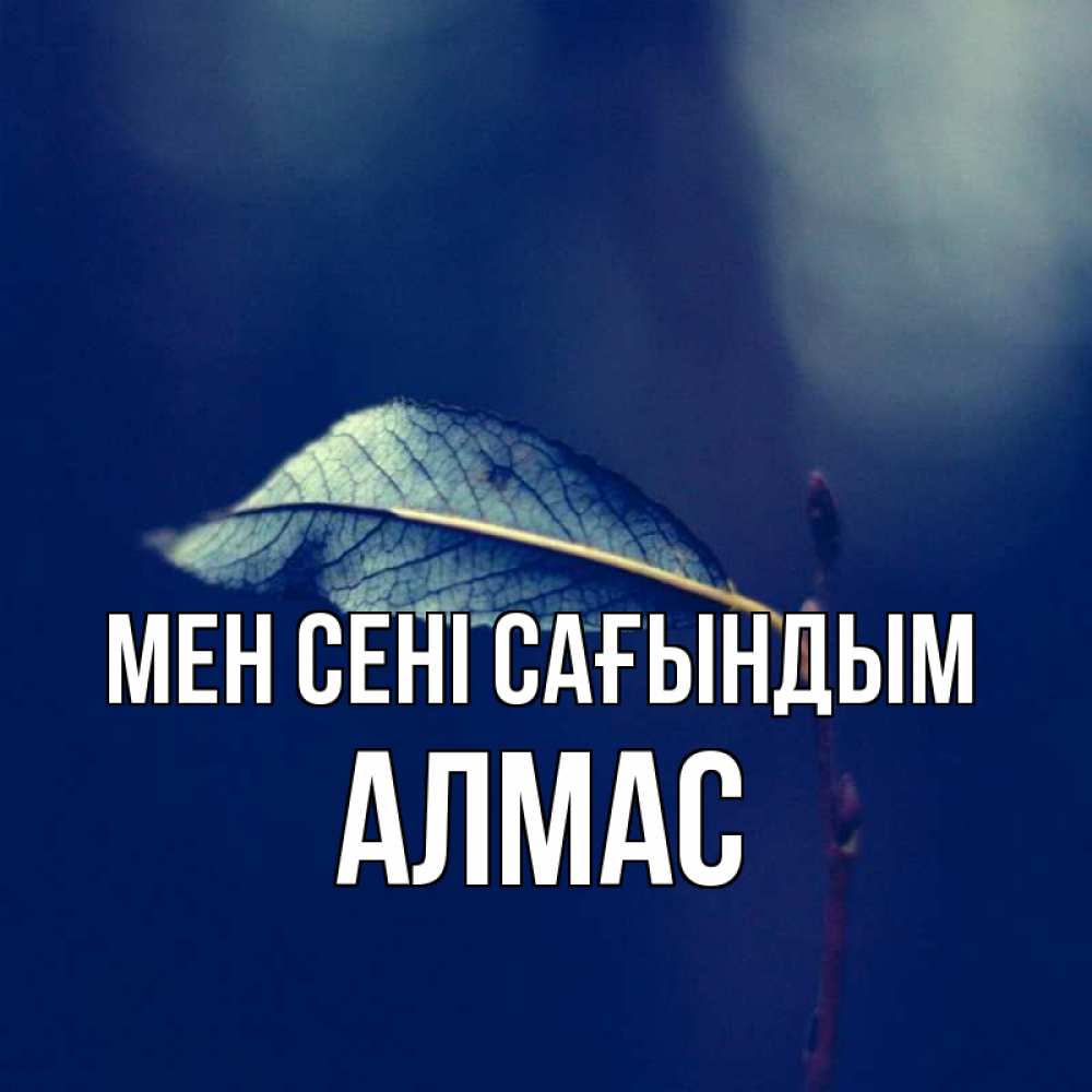 Күн сайын ашық хат с именем, Алмас Мен сені сағындым одна ветка 1 Онлайн тегін жүктеп алу тілектері бар керемет карта 