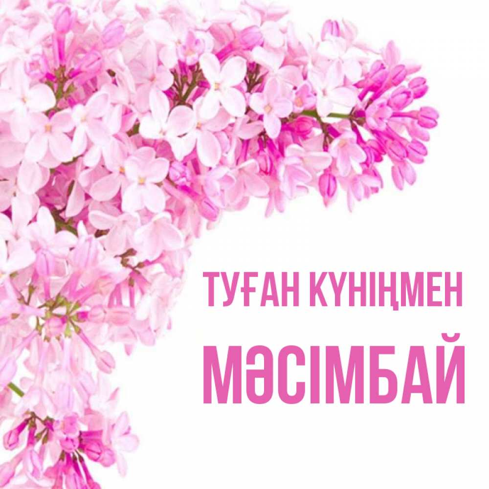 Күн сайын ашық хат с именем, МӘСІМБАЙ Туған күніңмен Сирень на белом фоне Онлайн тегін жүктеп алу тілектері бар керемет карта 