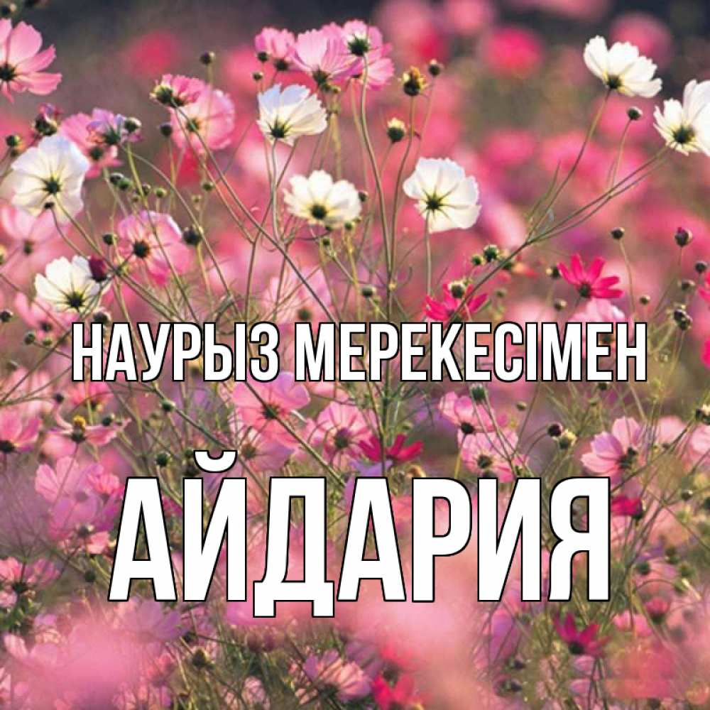 Күн сайын ашық хат с именем, АЙДАРИЯ Наурыз мерекесімен красиво 1 Онлайн тегін жүктеп алу тілектері бар керемет карта 