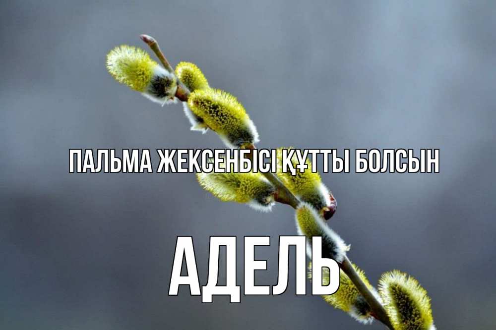 Күн сайын ашық хат с именем, Адель Пальма жексенбісі құтты болсын верба Онлайн тегін жүктеп алу тілектері бар керемет карта 