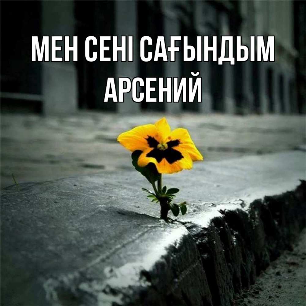 Күн сайын ашық хат с именем, Арсений Мен сені сағындым надеюсь будет лучше Онлайн тегін жүктеп алу тілектері бар керемет карта 