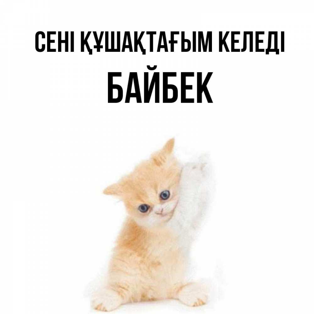 Күн сайын ашық хат с именем, Байбек сені құшақтағым келеді я хочу очень скорее обнимаешек Онлайн тегін жүктеп алу тілектері бар керемет карта 