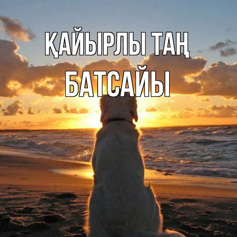 Күн сайын ашық хат с именем, Батсайы Қайырлы таң восход солнца Онлайн тегін жүктеп алу тілектері бар керемет карта 