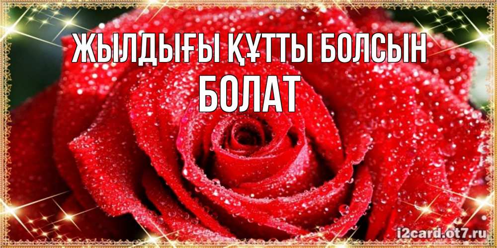 Күн сайын ашық хат с именем, Болат Жылдығы құтты болсын роса и роза. открытка с красивой розой Онлайн тегін жүктеп алу тілектері бар керемет карта 