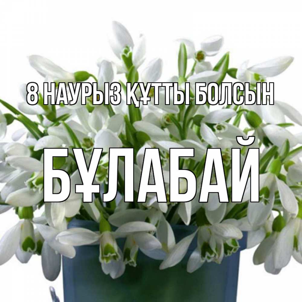 Күн сайын ашық хат с именем, Бұлабай 8 наурыз құтты болсын цветы к международному женскому дню Онлайн тегін жүктеп алу тілектері бар керемет карта 