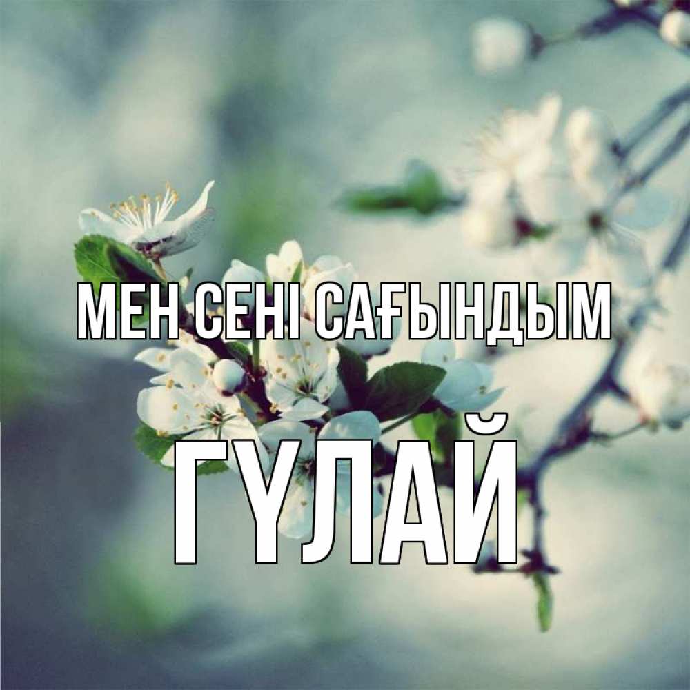 Күн сайын ашық хат с именем, ГҮЛАЙ Мен сені сағындым весна Онлайн тегін жүктеп алу тілектері бар керемет карта 