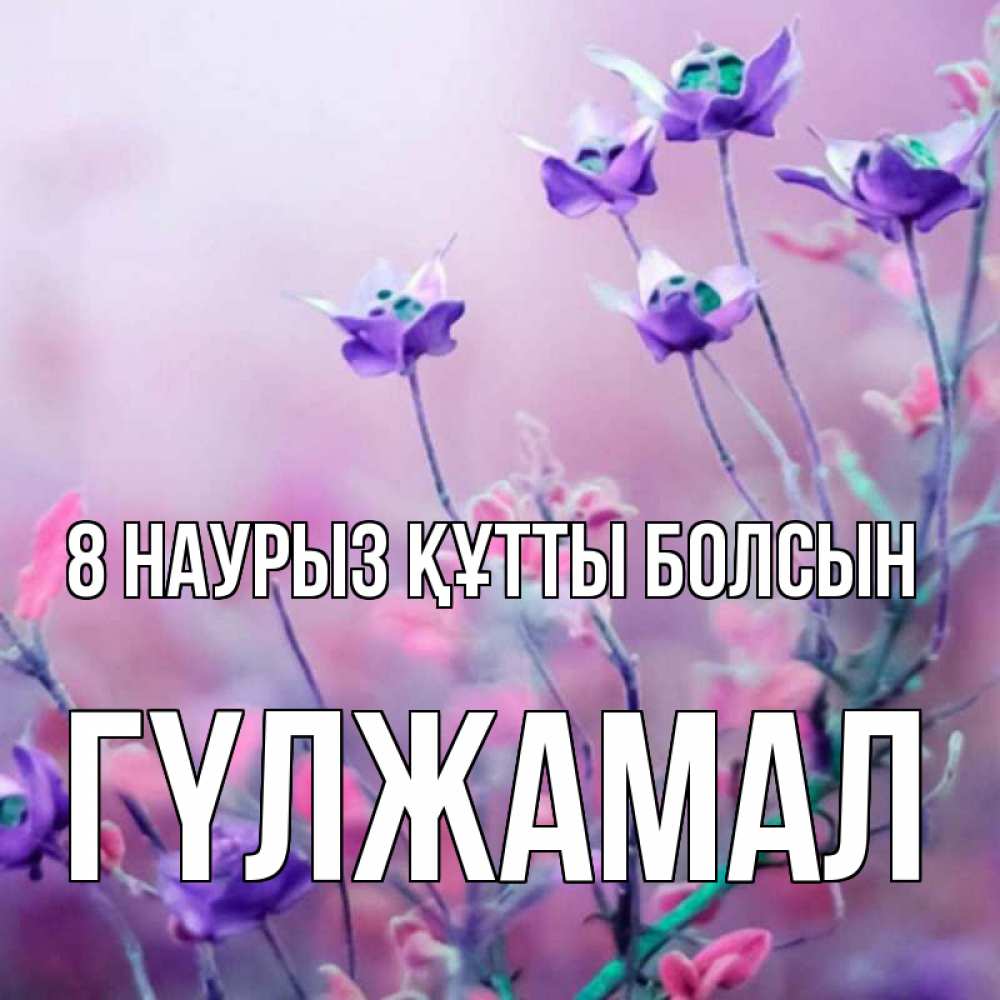 Күн сайын ашық хат с именем, ГҮЛЖАМАЛ 8 наурыз құтты болсын международный женский день 2 Онлайн тегін жүктеп алу тілектері бар керемет карта 