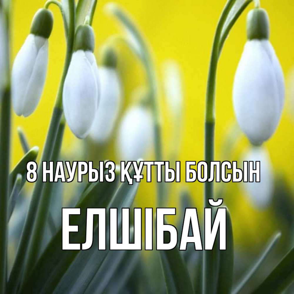 Күн сайын ашық хат с именем, Елшібай 8 наурыз құтты болсын весенние цветы Онлайн тегін жүктеп алу тілектері бар керемет карта 