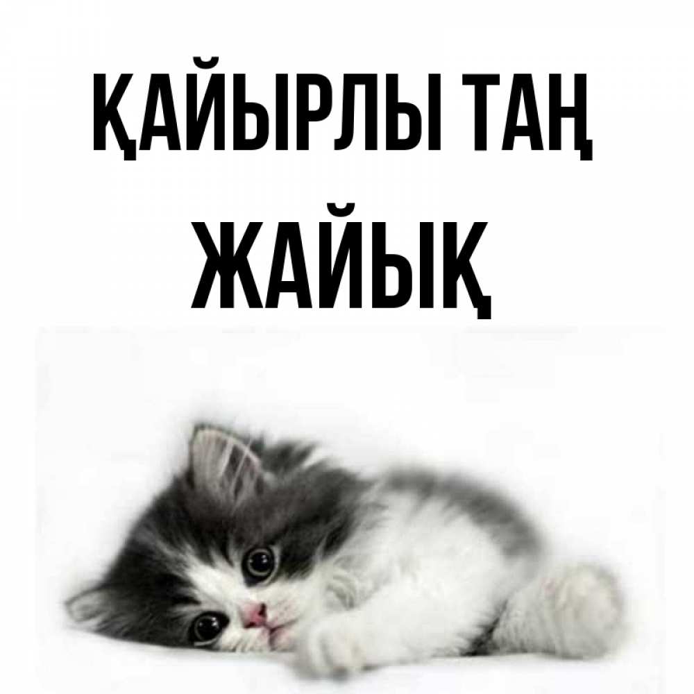 Күн сайын ашық хат с именем, Жайық Қайырлы таң кот лапки Онлайн тегін жүктеп алу тілектері бар керемет карта 